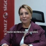 Trafik Sigortası - Görsel 2